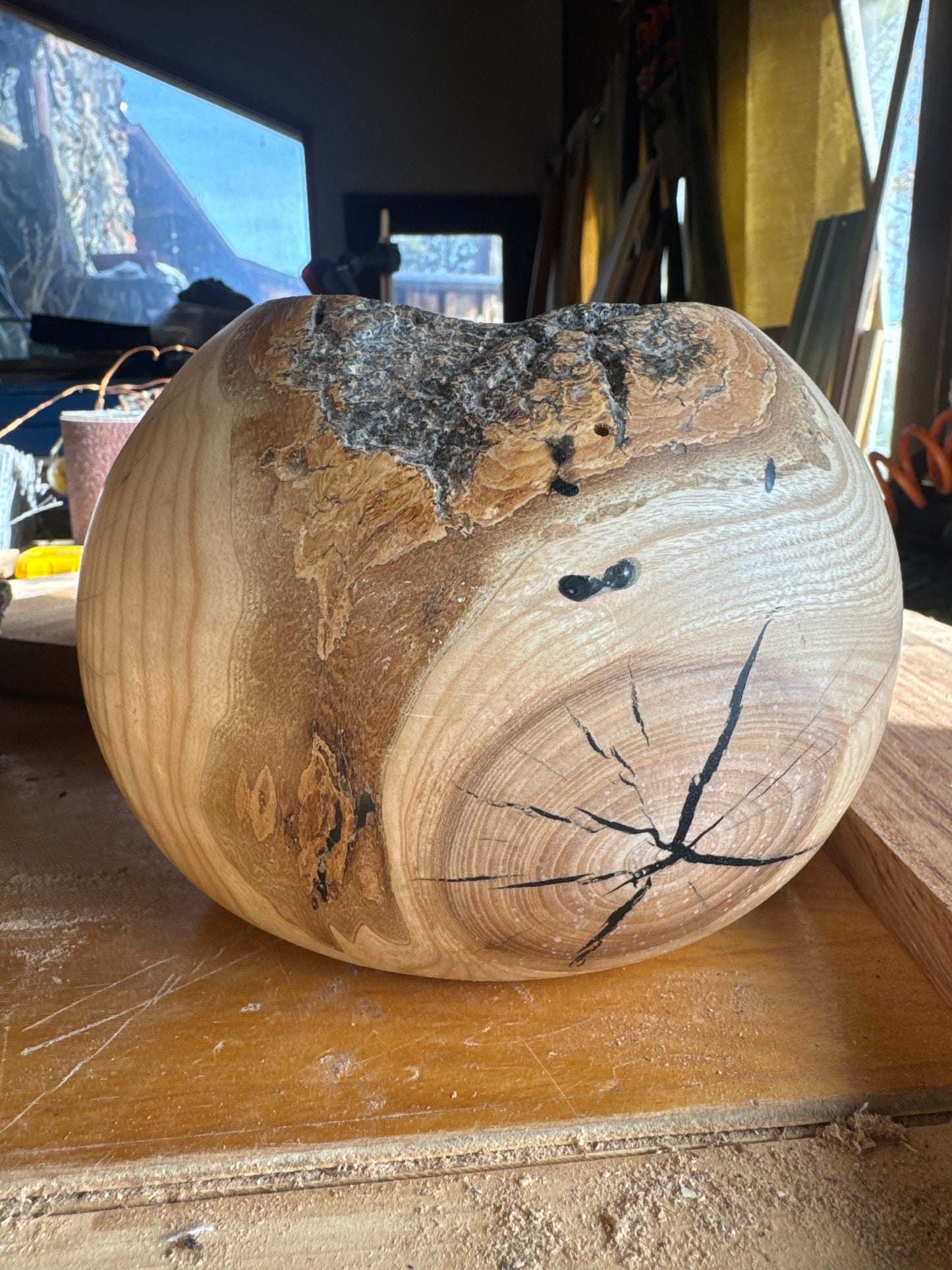 Sycamore live edge vessel