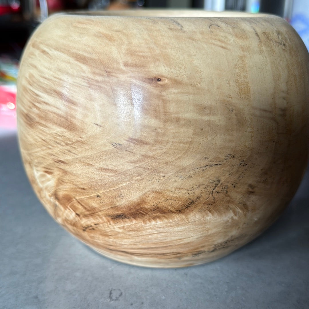 Poplar vessel