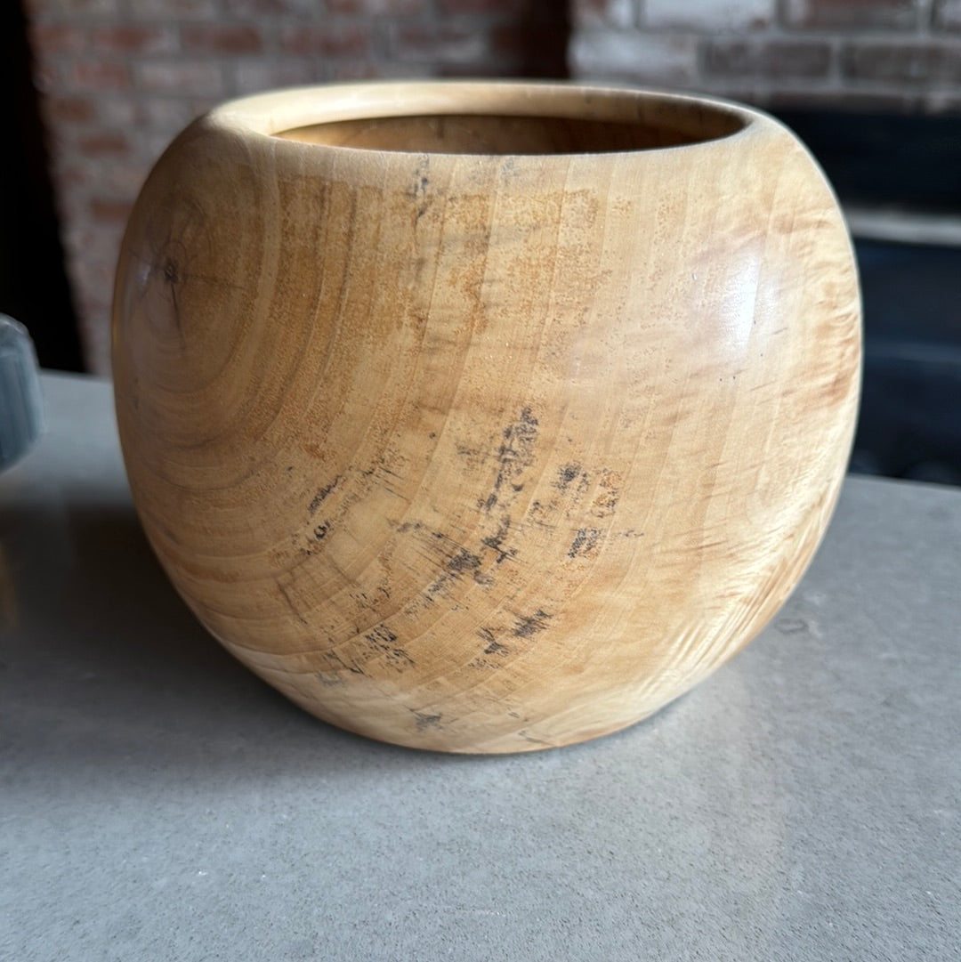 Poplar vessel