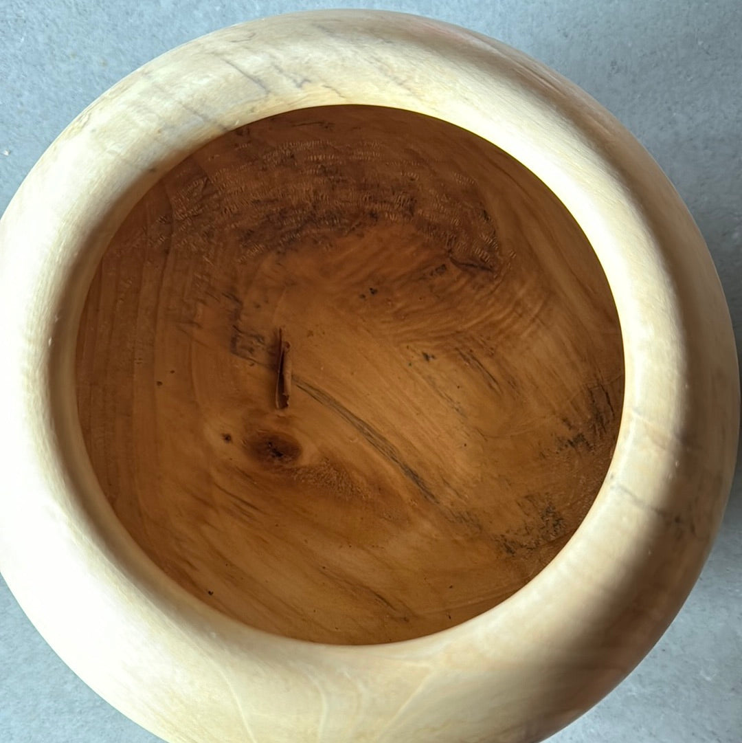 Poplar vessel