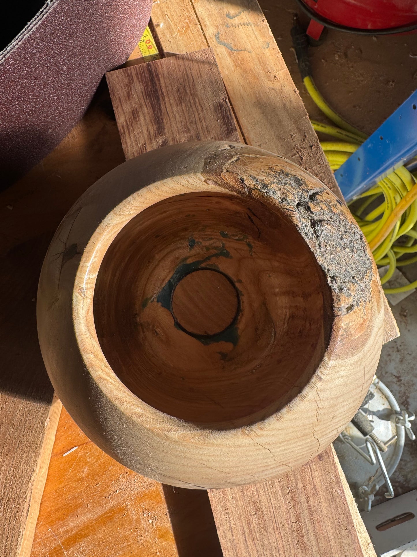 Sycamore live edge vessel